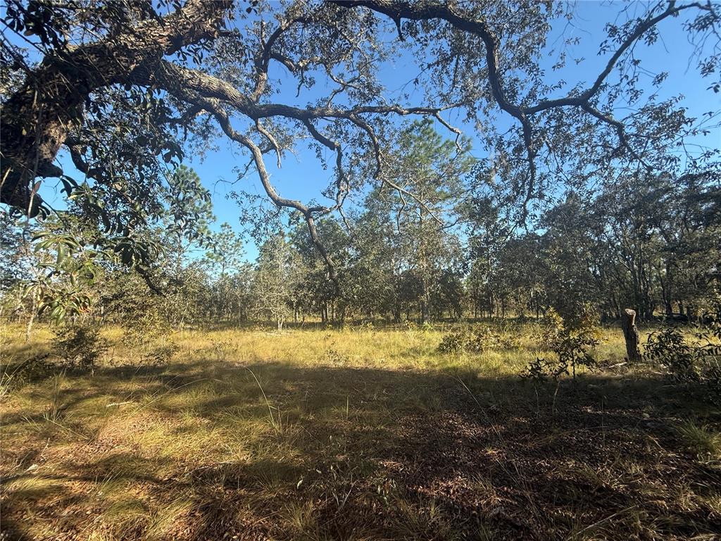 00 SE 73RD LANE, MORRISTON, FL — photo 4 of 26