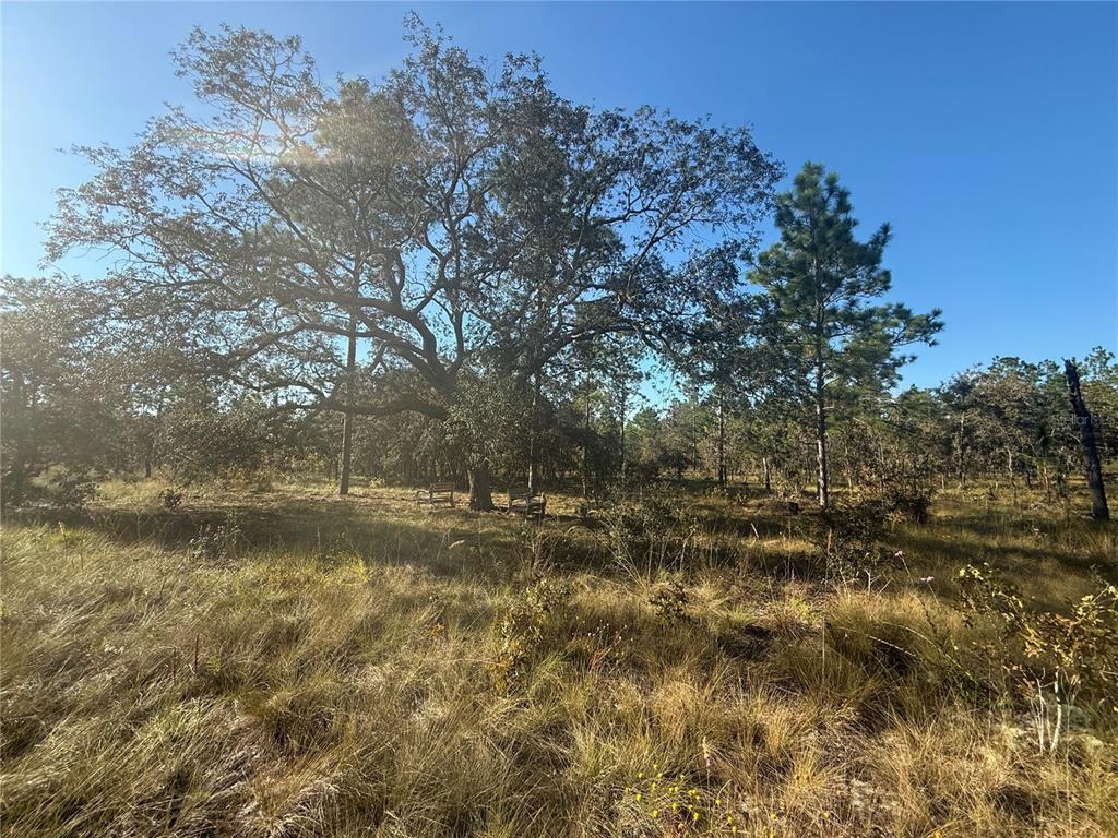 00 SE 73RD LANE, MORRISTON, FL — photo 5 of 26