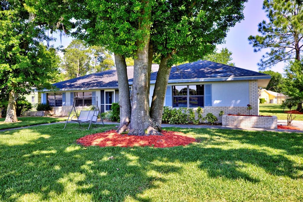 A single-story house with a brick facade and a large tree in the front yard — 3601 DIVOT ROAD, SEBRING, FL