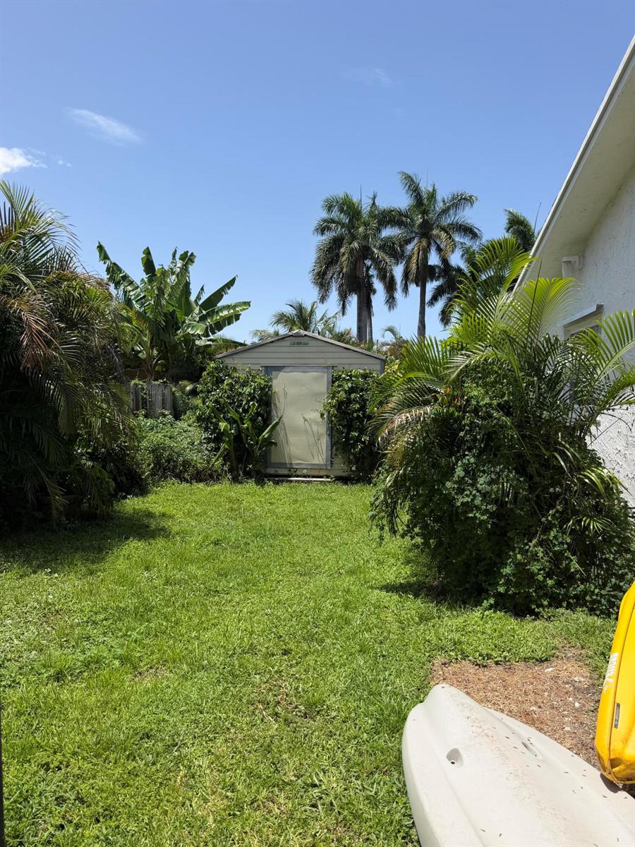 A backyard features a shed surrounded by lush tropical plants and palm trees — 3079 Indian Trail, Lake Worth FL 33462, LAKE WORTH, FL