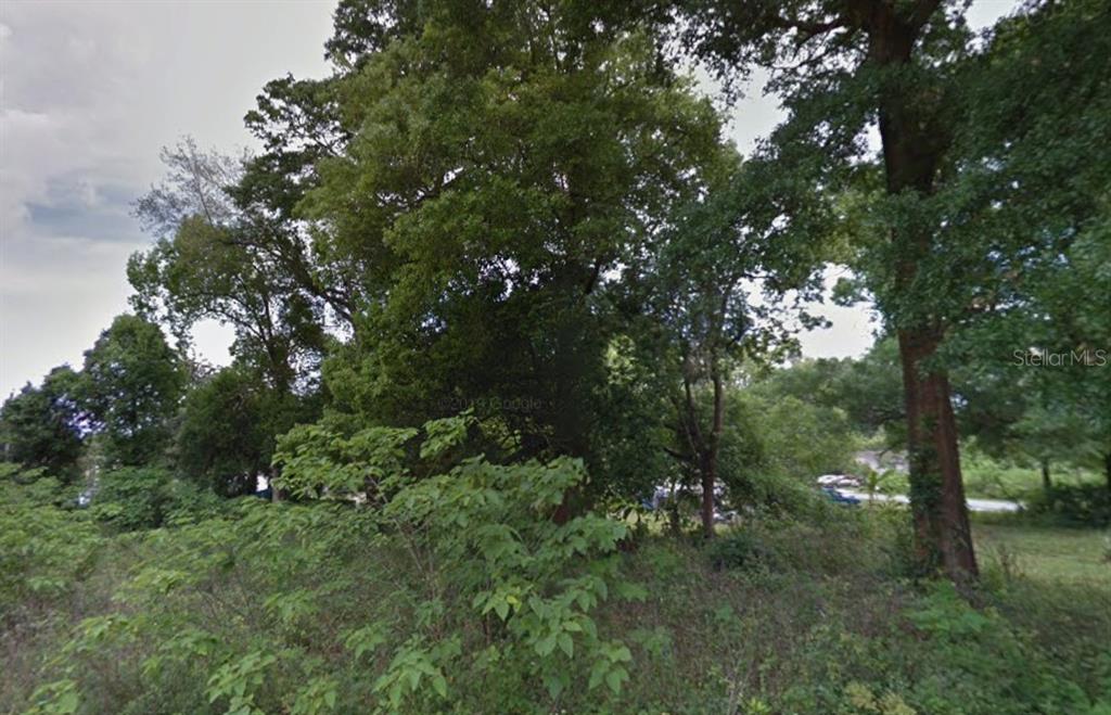 A dense, wooded lot with mature trees and overgrown vegetation under a cloudy sky — Lot 28 NW 21ST AVENUE, OCALA, FL
