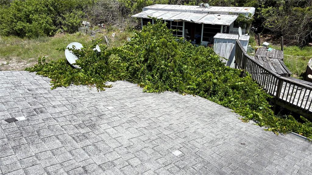 An elevated view shows a shingled roof partially covered by overgrown vegetation and a nearby trailer — 5110 HONEY LANE, GRANT, FL