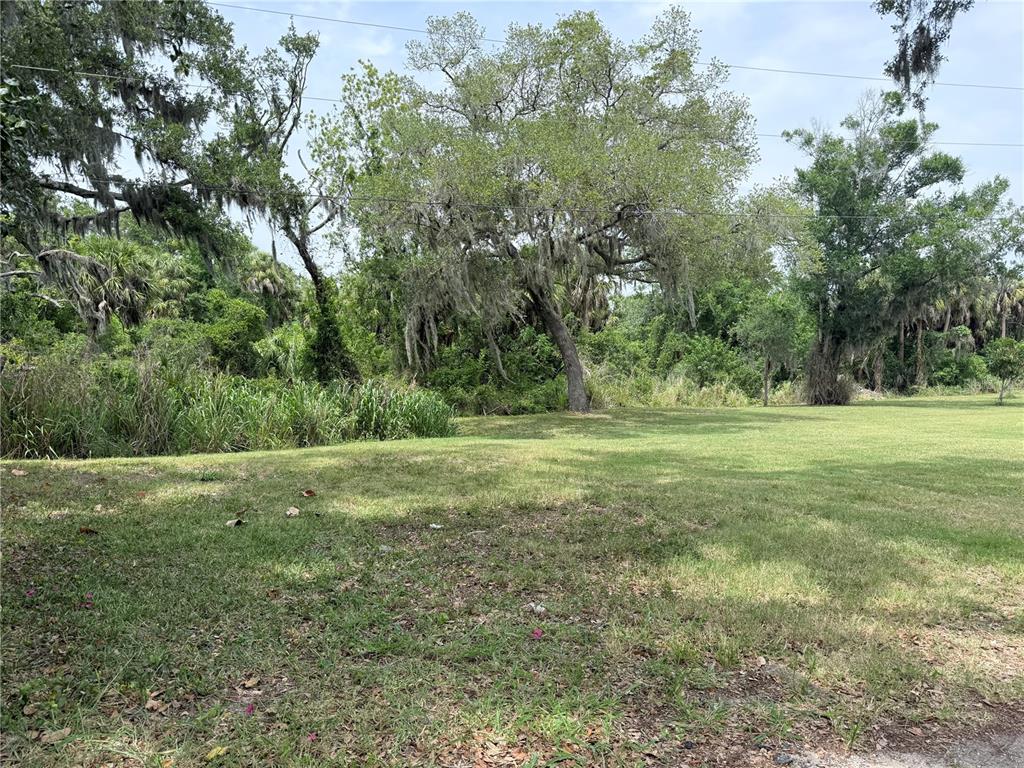 A grassy lot features large trees with Spanish moss and dense vegetation in the background — 3208 16TH AVE E, PALMETTO, FL