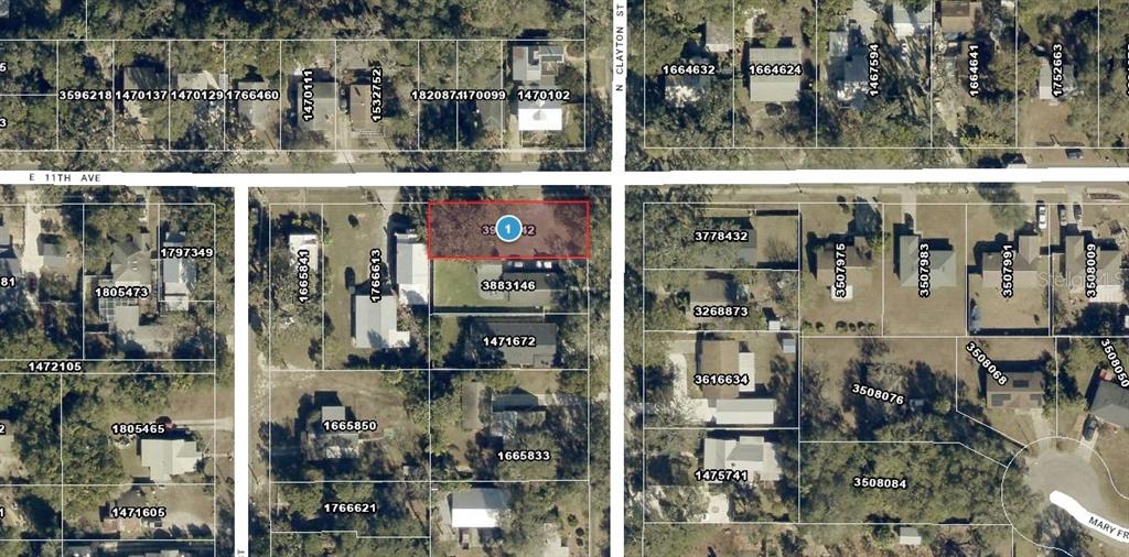 This is an aerial map showing residential property lots and street layouts — CLAYTON STREET N, MOUNT DORA, FL
