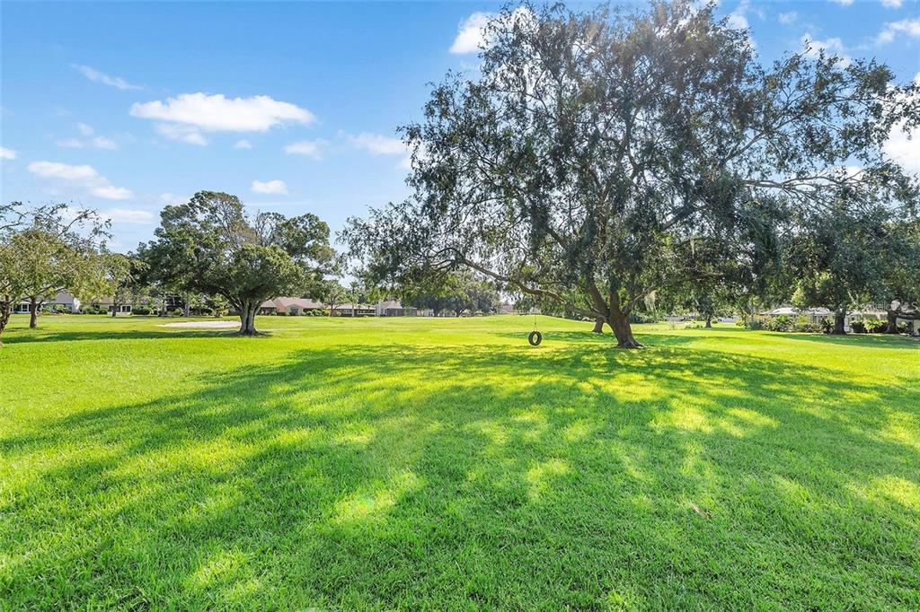 A large grassy lawn features several mature trees and a tire swing under a blue sky — 665 BROADMOOR CIRCLE, WINTER HAVEN, FL