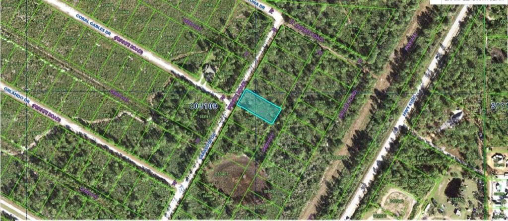 This aerial map shows a rectangular plot of land highlighted in blue near a road — SARASOTA DRIVE, INDIAN LAKE ESTATES, FL