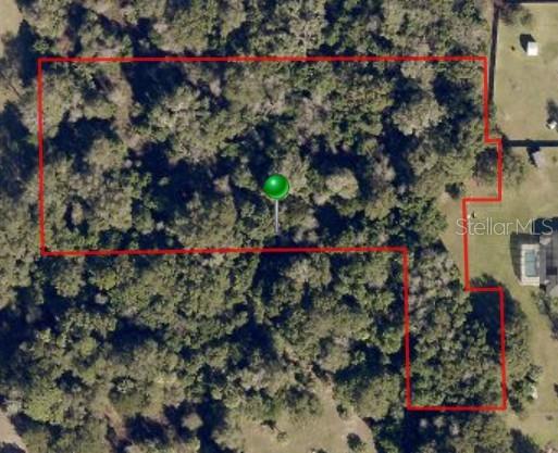 An aerial view of a wooded lot outlined in red with a green location pin — S ADELLE AVENUE, DELAND, FL