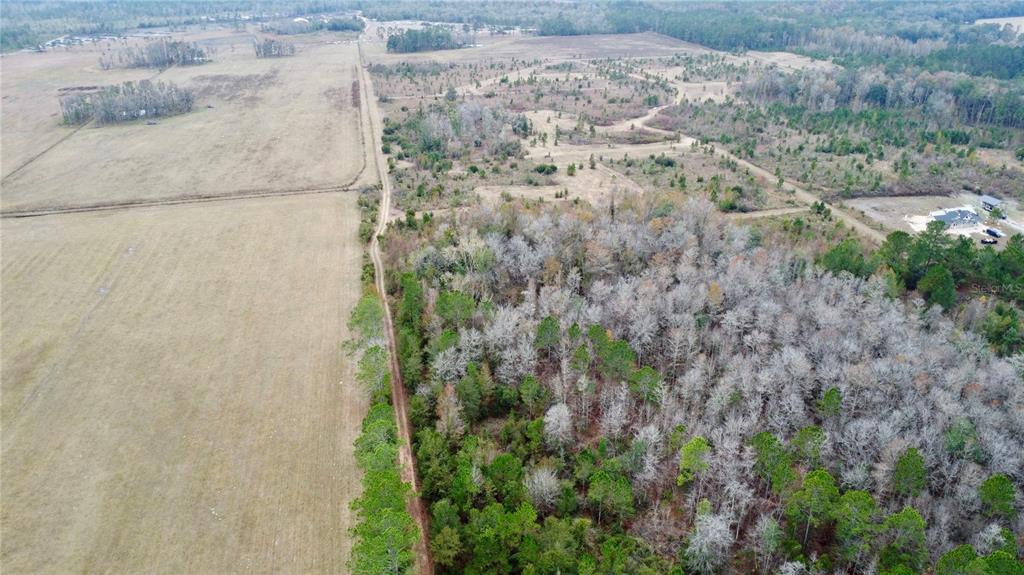 TBD CR 235, BROOKER, FL — photo 3 of 11