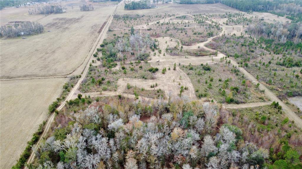 TBD CR 235, BROOKER, FL — photo 4 of 11