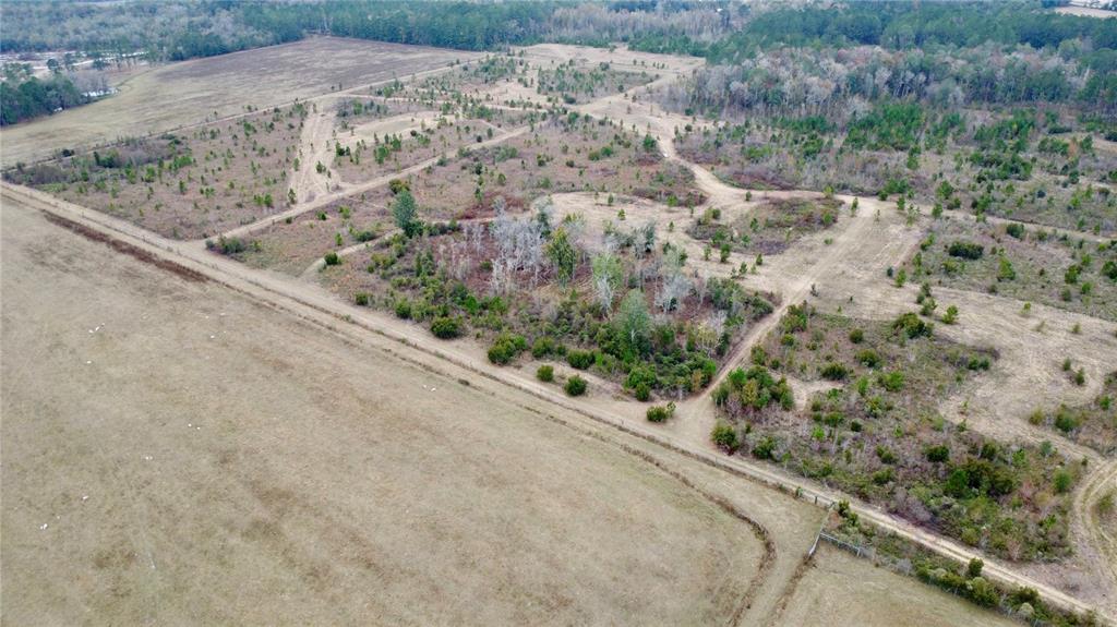 TBD CR 235, BROOKER, FL — photo 5 of 11