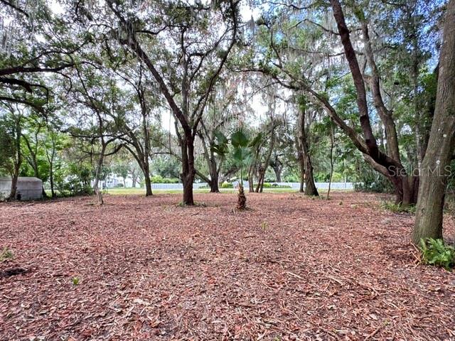 A wooded lot covered in fallen leaves features several large trees and a small palm — E HWY 25, OCKLAWAHA, FL