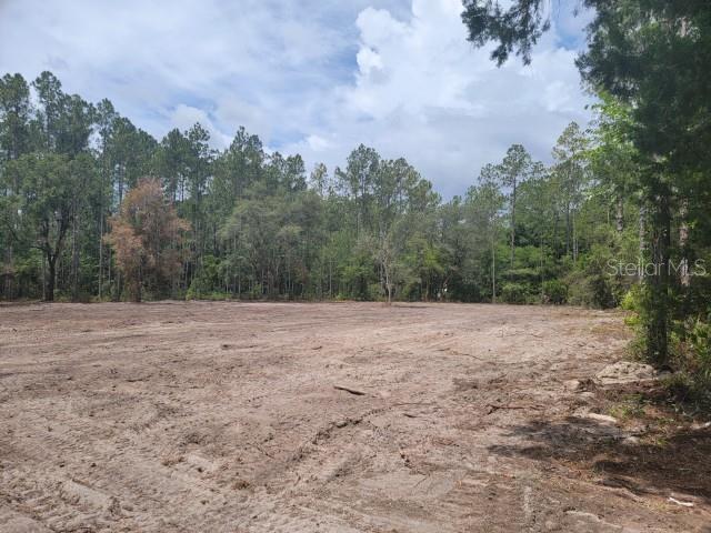 A cleared, sandy lot is surrounded by a dense forest of tall pine and deciduous trees — 4325 CEDAR FORD BOULEVARD, HASTINGS, FL