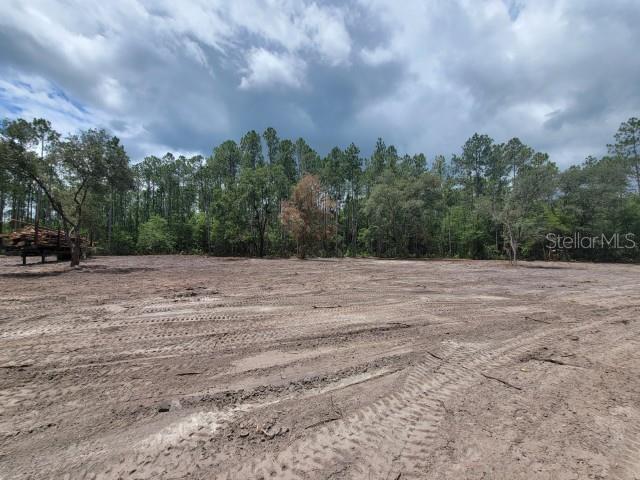 A cleared, flat dirt lot is bordered by a dense line of mature trees — 4325 CEDAR FORD BOULEVARD, HASTINGS, FL