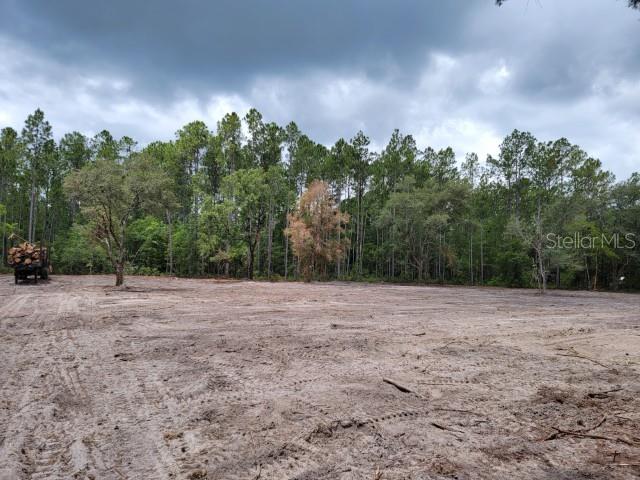 A cleared, sandy lot sits in front of a dense line of trees under cloudy skies — 4325 CEDAR FORD BOULEVARD, HASTINGS, FL