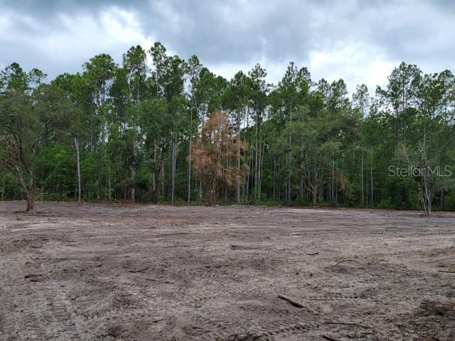 A cleared, sandy lot is bordered by a dense line of tall pine trees — 4325 CEDAR FORD BOULEVARD, HASTINGS, FL