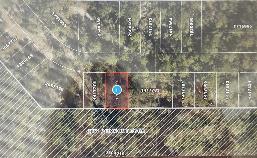 Lot 34 WOLF BRANCH RD, MOUNT DORA, FL — photo 2 of 3