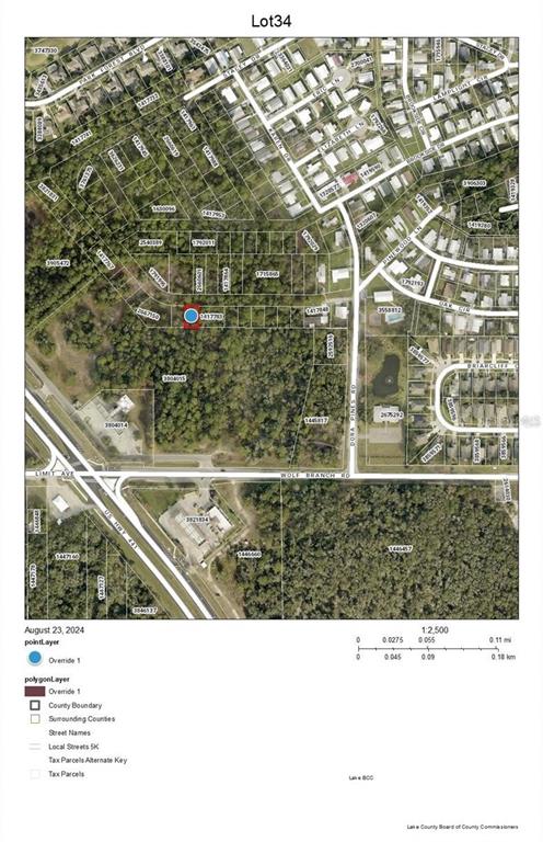 Lot 34 WOLF BRANCH RD, MOUNT DORA, FL — photo 3 of 3