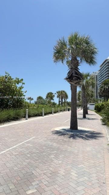 A paved walkway lined with palm trees leads toward a beach area with dense vegetation — 5875 Collins Ave # 708, Miami Beach FL 33140, MIAMI BEACH, FL