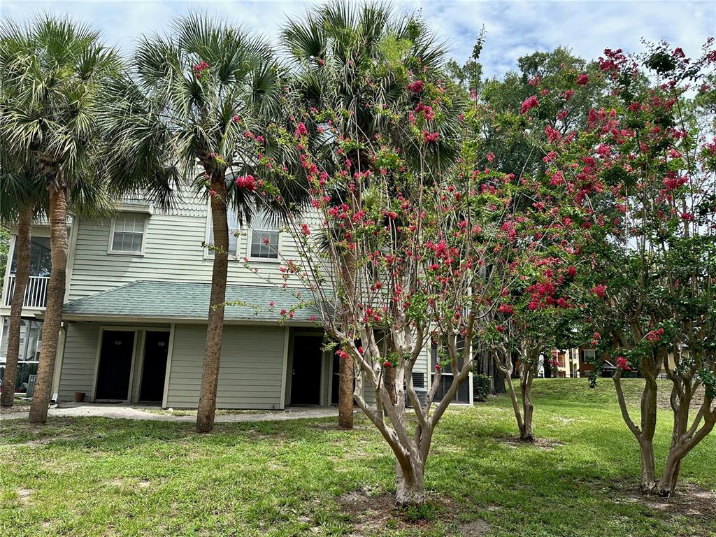 The exterior of a multi-story residential building features light green siding, palm trees, and blooming crape myrtles — 6052 WESTGATE DRIVE UNIT 203, ORLANDO, FL