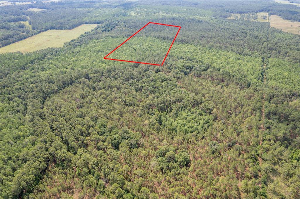 An aerial view shows a rectangular plot of land outlined in red within a forest — 0, POLK CITY, FL