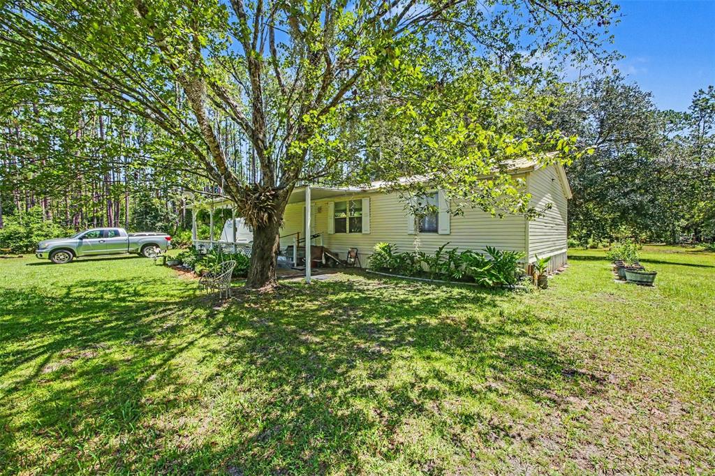 A single-story light-colored house with a front porch sits on a grassy, tree-filled lot — 2375 GROVE STREET, BUNNELL, FL
