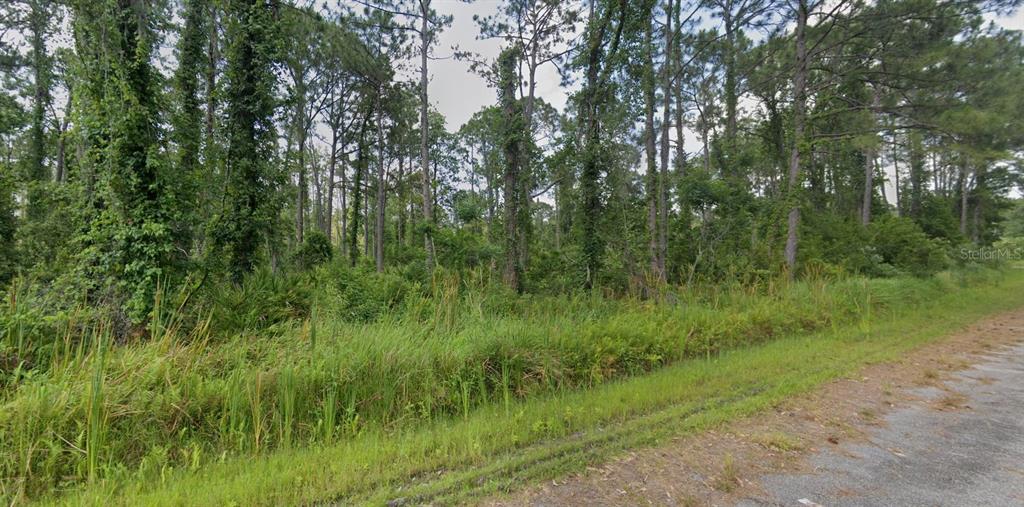 8624 LENA DRIVE, SEBRING, FL — photo 2 of 4