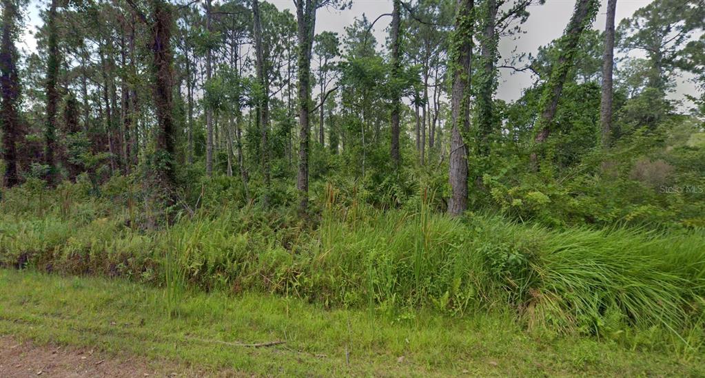 8624 LENA DRIVE, SEBRING, FL — photo 3 of 4
