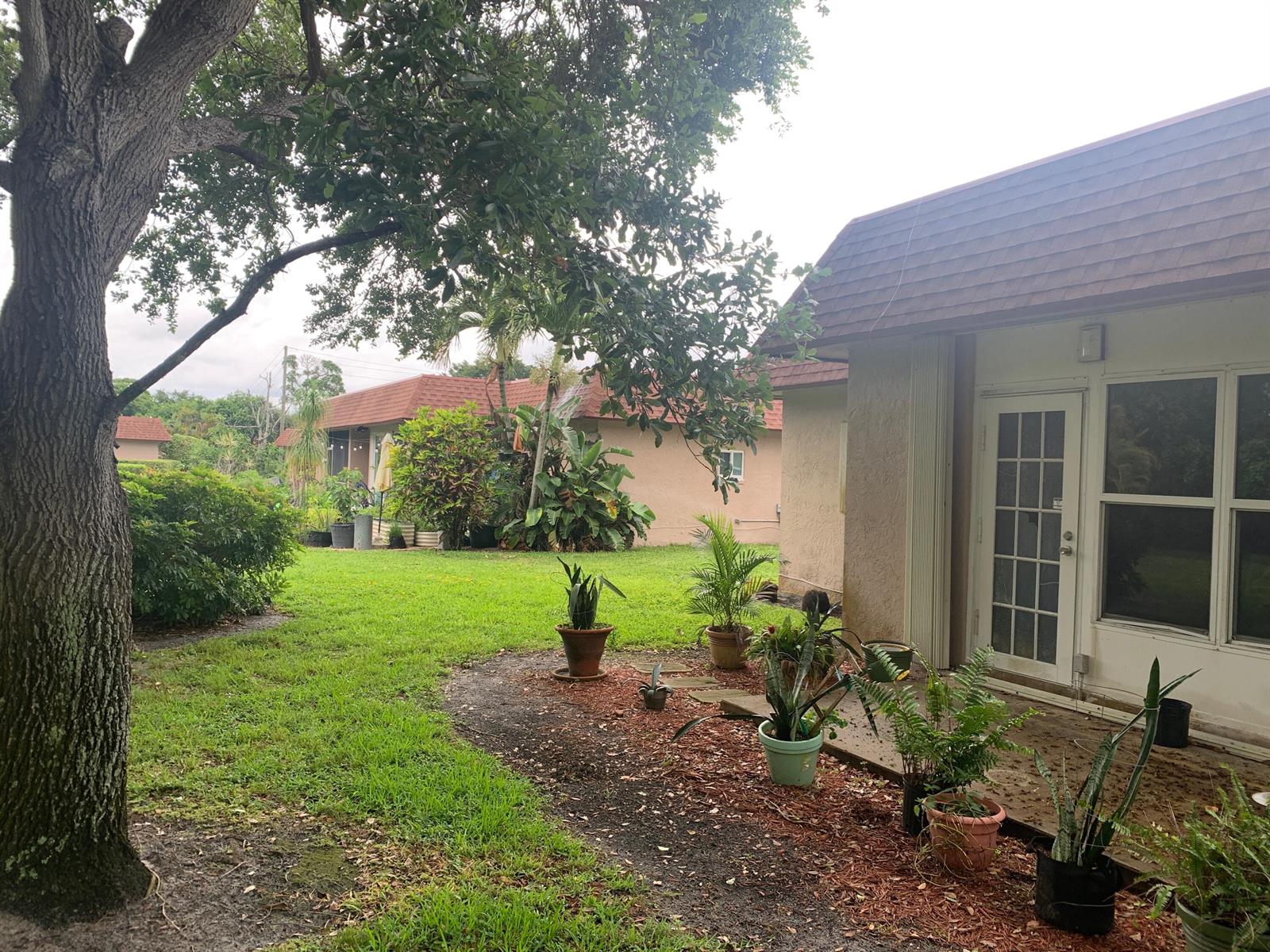 A backyard view featuring a large tree, a grassy lawn, and a house with potted plants — 1914 Palmland Drive # C, Boynton Beach FL 33436, BOYNTON BEACH, FL