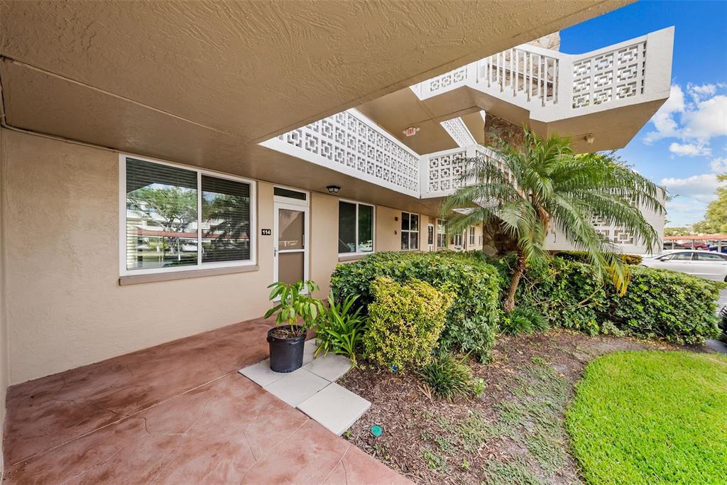 A ground-level apartment entrance features a concrete patio, a potted plant, and exterior stairs — 5095 BAY STREET NE UNIT 114, ST PETERSBURG, FL