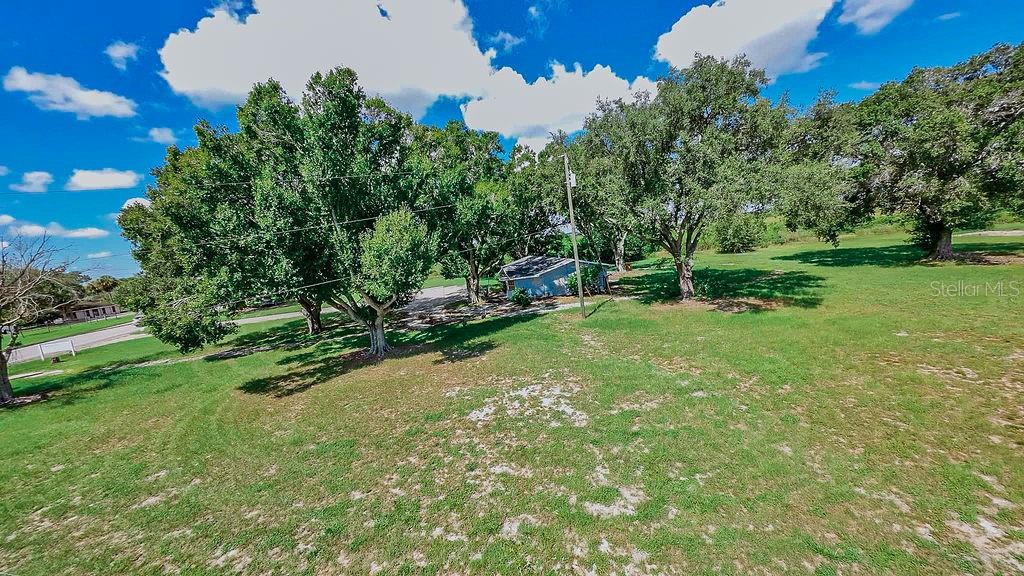 A grassy lot features several large trees and a small blue shed under a cloudy sky — 1030 CHALET SUZANNE ROAD, LAKE WALES, FL