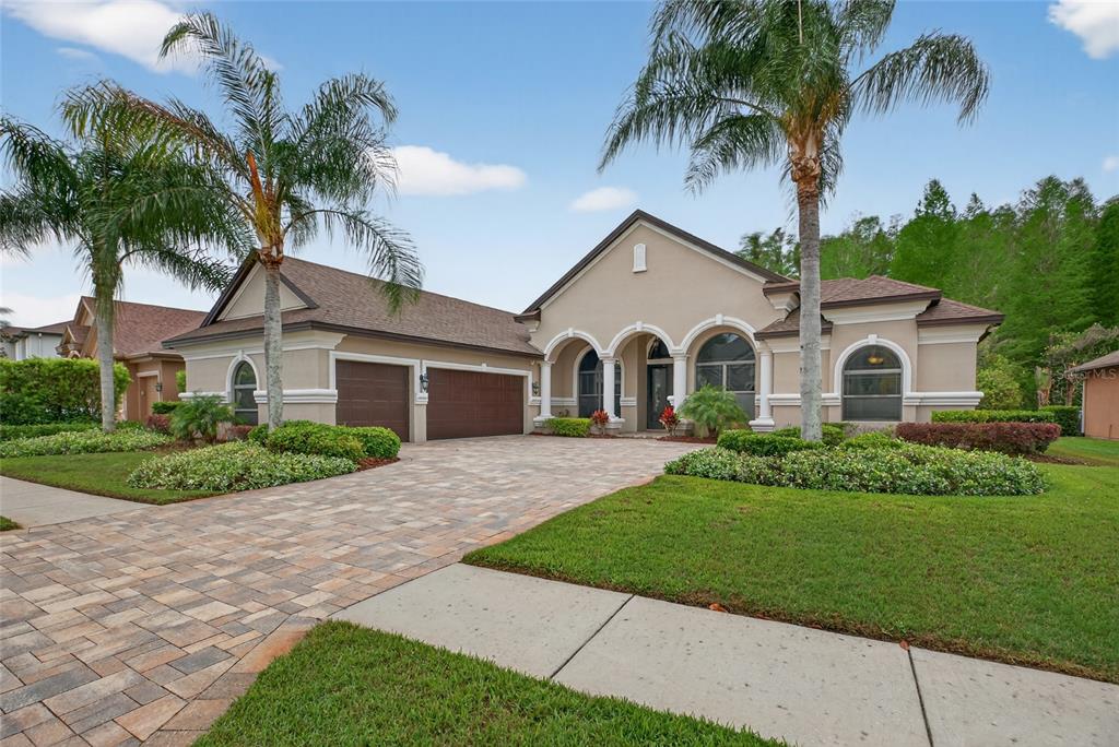1607 ABYSS DRIVE