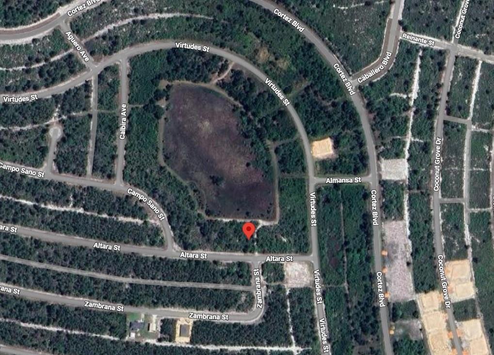 This is an aerial map showing a vacant, wooded residential lot marked with a red pin — 7618 Altara Street, Sebring FL 33872, SEBRING, FL