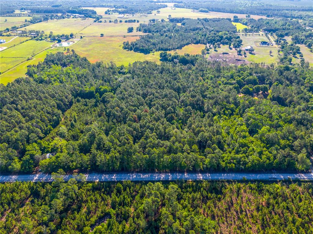 An aerial view shows a paved road separating a dense forest from a cleared field — SW 126TH AVENUE, LAKE BUTLER, FL