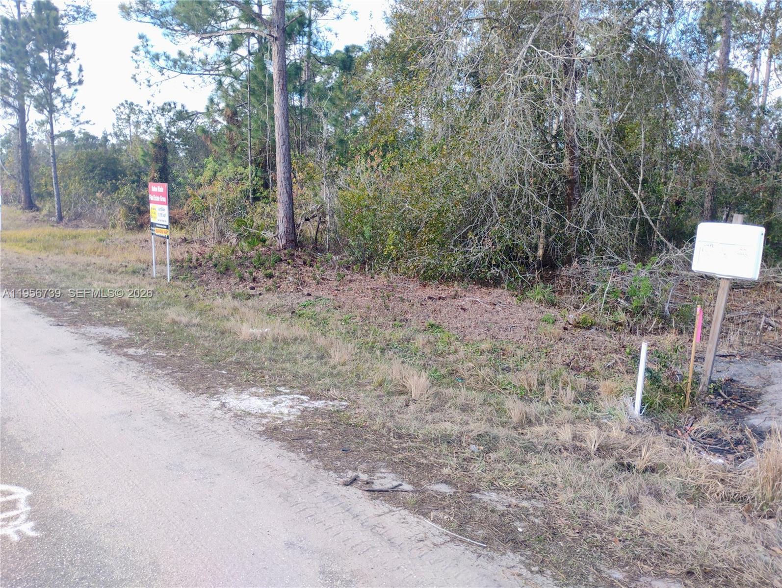 A dirt road runs alongside a wooded lot featuring a real estate sign and mailbox — 4217 Gerona, Avon Park FL 33872, AVON PARK, FL