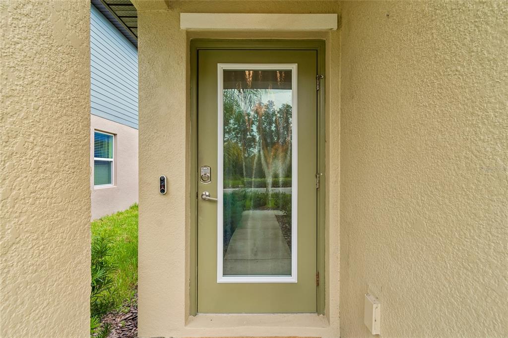 A sage green exterior door with a glass panel is set into a stucco wall — 22465 STORYBOOK CABIN WAY, LAND O LAKES, FL