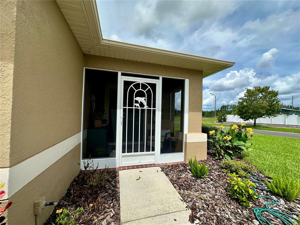 A concrete walkway leads to a screened-in front porch with a white dolphin-themed storm door — 18861 WATER LILY LANE, HUDSON, FL
