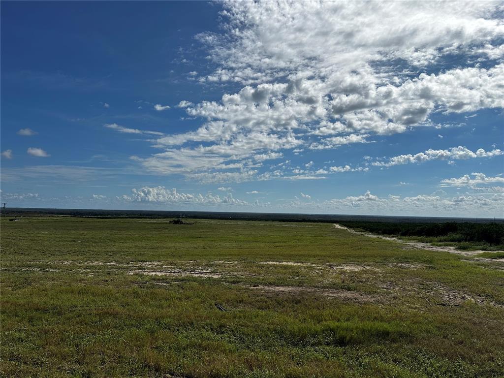 A vast, grassy field stretches toward a distant tree line under a bright, cloudy sky — SCENIC HIGHWAY N, FROSTPROOF, FL