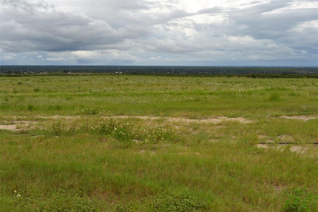 A wide, grassy field under a cloudy sky with a distant treeline on the horizon — SCENIC HIGHWAY N, FROSTPROOF, FL