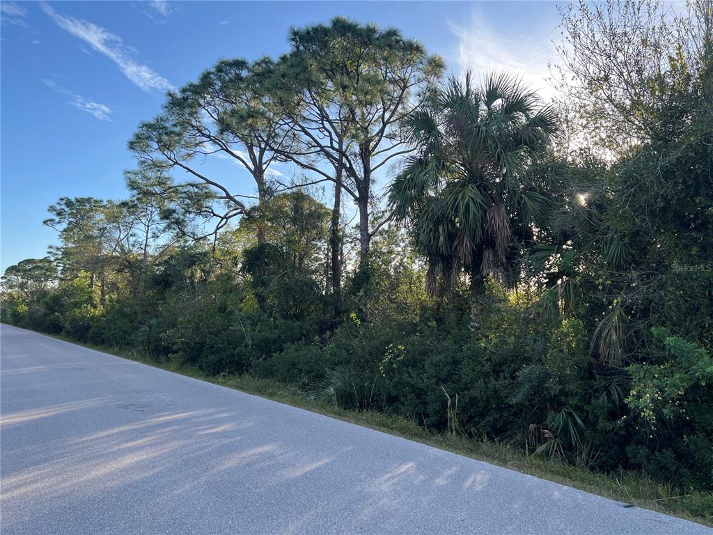 11197 / 11205 PINETRAIL ROAD
