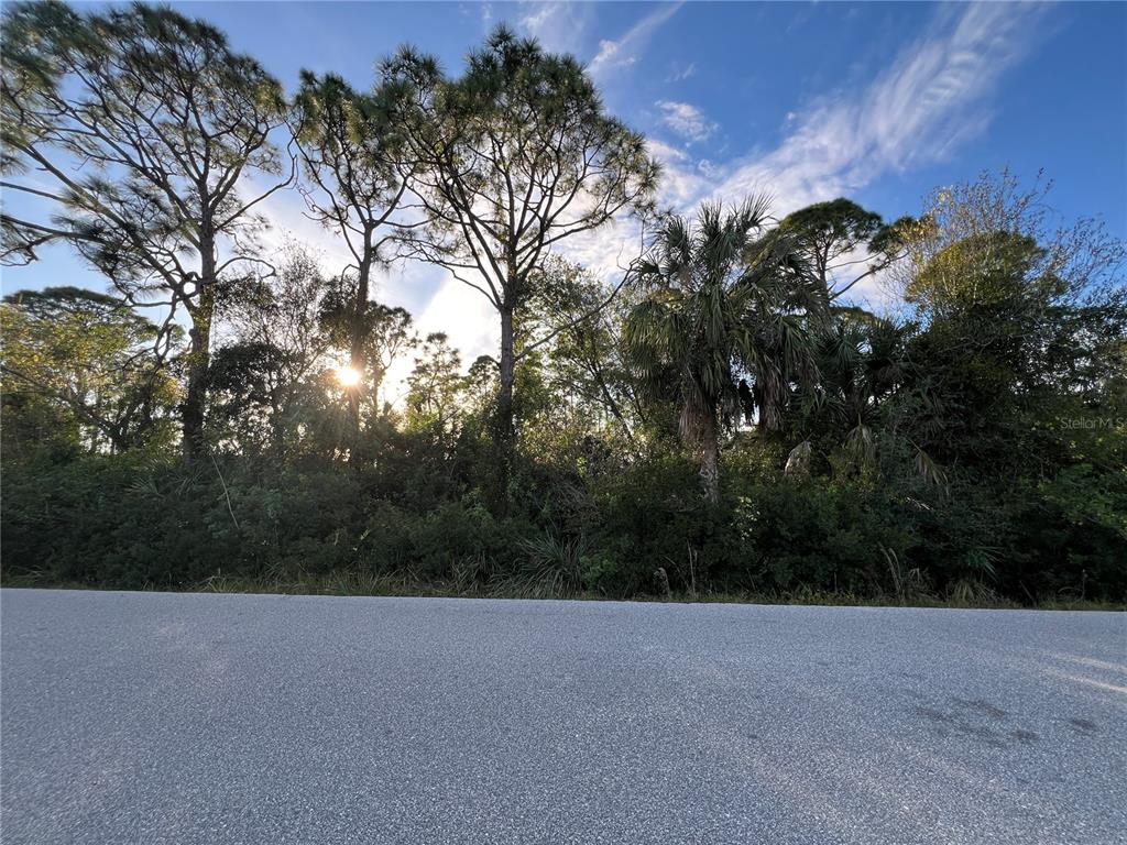 A paved road runs in front of a wooded lot with tall pine trees — 11197 / 11205 PINETRAIL ROAD, PUNTA GORDA, FL