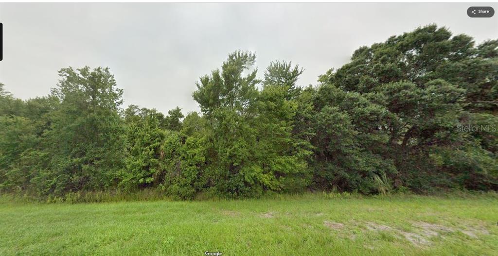 A view of a grassy lot bordered by a dense line of mature trees — S KENANSVILLE ROAD, OKEECHOBEE, FL