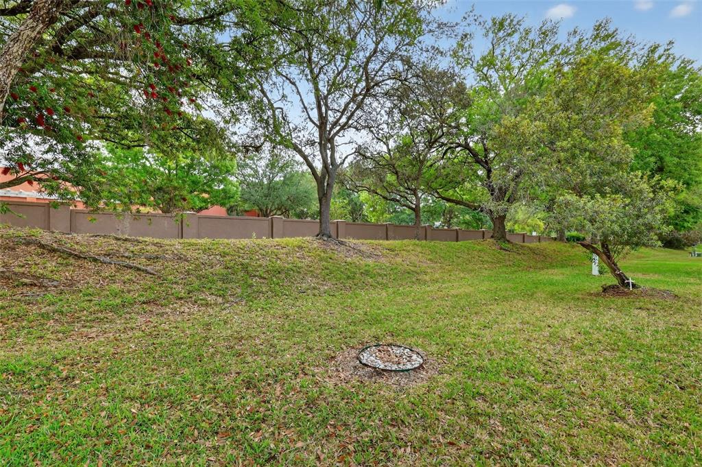 A grassy yard slopes upward toward a brown perimeter wall lined with mature trees — 731 CORTEZ AVENUE, LADY LAKE, FL