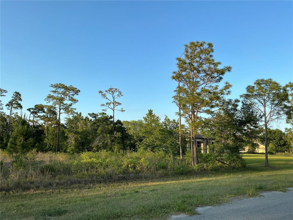 A vacant, grassy lot with scattered trees and shrubs under a clear blue sky — LOT 44 REYNOLDS PARKWAY, ORLANDO, FL