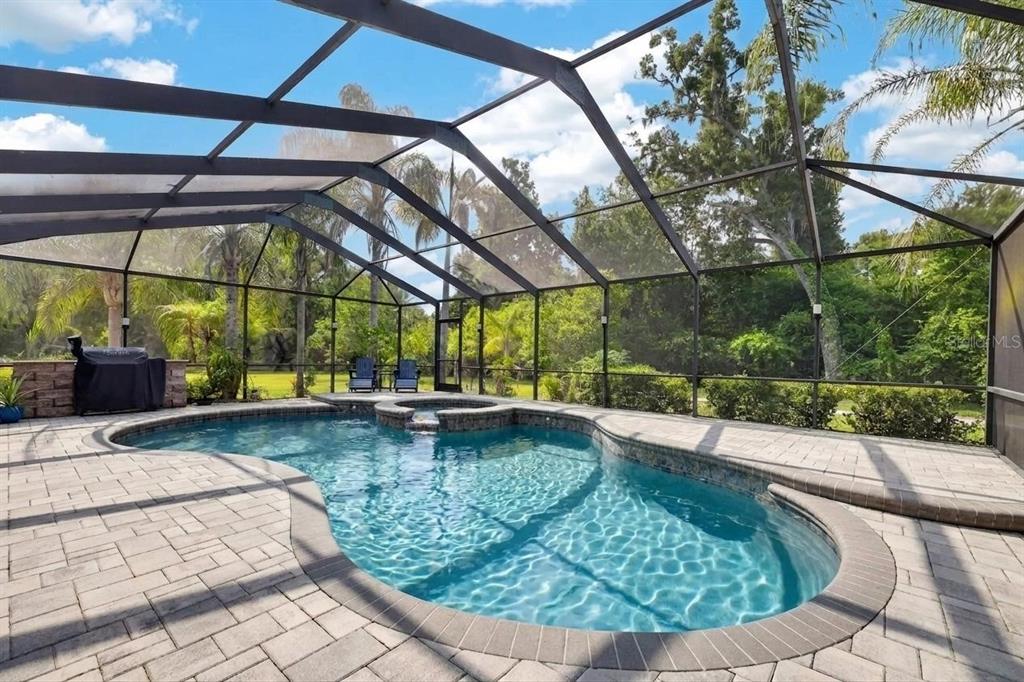 A screened-in swimming pool and spa with a paver patio and outdoor grill area — 2715 LITTLE ROAD, VALRICO, FL