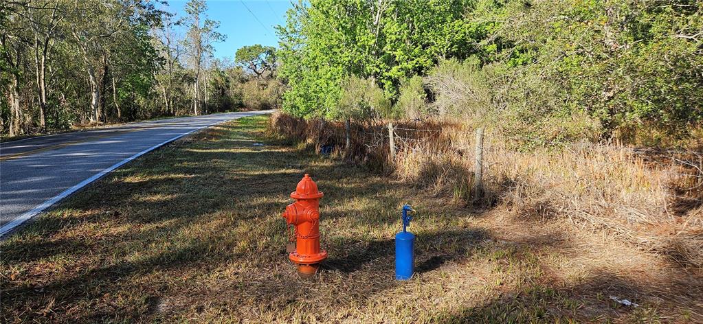 An orange fire hydrant and a blue utility marker stand beside a paved road — TIMBERLANE ROAD, LAKE WALES, FL