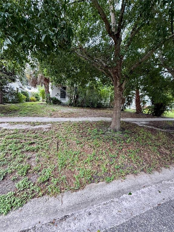 A view of a grassy front yard with trees and a sidewalk leading to a house — 766 51ST AVENUE N, ST PETERSBURG, FL