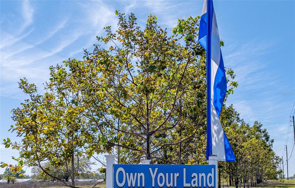 A blue and white sign reading "Own Your Land" stands in front of a tree — 102 NEWCASTLE BOULEVARD, HAINES CITY, FL