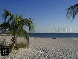 A sandy beach with a palm tree in the foreground overlooking the ocean — 8565 W GULF BOULEVARD UNIT 11S, ST PETERSBURG, FL