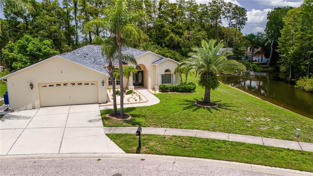 An aerial view of a single-story house with a garage, palm trees, and a pond — 8153 BAYTREE DRIVE, NEW PORT RICHEY, FL