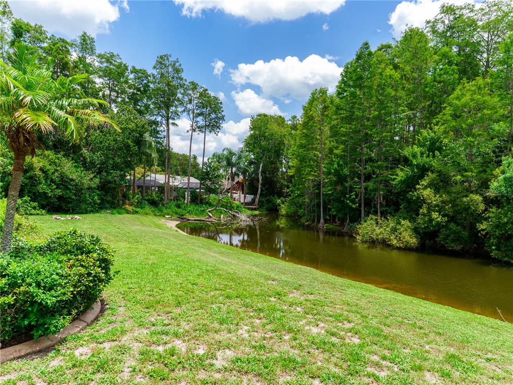 A grassy lawn slopes down toward a small pond surrounded by dense trees — 8153 BAYTREE DRIVE, NEW PORT RICHEY, FL